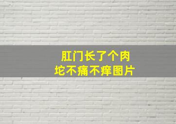 肛门长了个肉坨不痛不痒图片