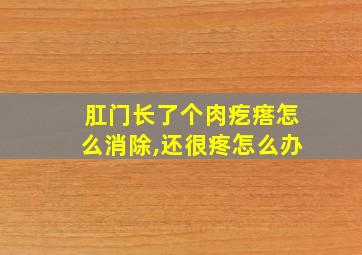 肛门长了个肉疙瘩怎么消除,还很疼怎么办