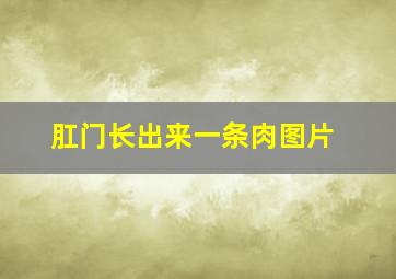 肛门长出来一条肉图片