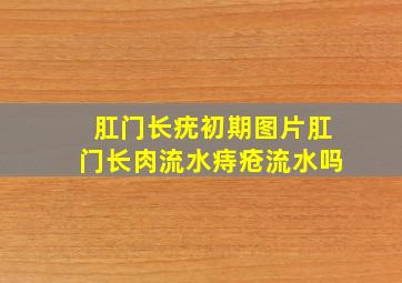 肛门长疣初期图片肛门长肉流水痔疮流水吗