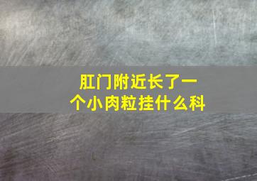 肛门附近长了一个小肉粒挂什么科