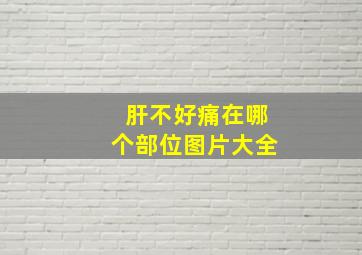 肝不好痛在哪个部位图片大全