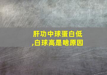 肝功中球蛋白低,白球高是啥原因