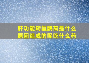 肝功能转氨酶高是什么原因造成的呢吃什么药