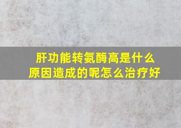 肝功能转氨酶高是什么原因造成的呢怎么治疗好