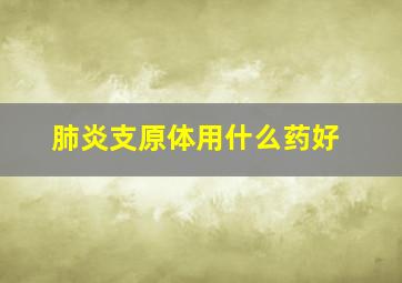 肺炎支原体用什么药好