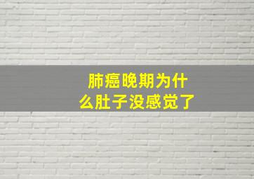 肺癌晚期为什么肚子没感觉了