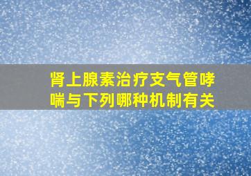 肾上腺素治疗支气管哮喘与下列哪种机制有关