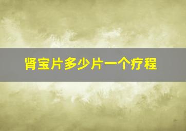 肾宝片多少片一个疗程