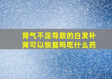 肾气不足导致的白发补肾可以恢复吗吃什么药