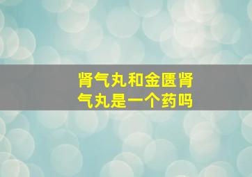 肾气丸和金匮肾气丸是一个药吗