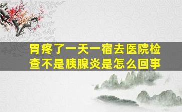 胃疼了一天一宿去医院检查不是胰腺炎是怎么回事