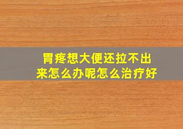 胃疼想大便还拉不出来怎么办呢怎么治疗好