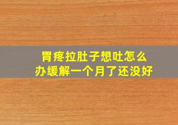 胃疼拉肚子想吐怎么办缓解一个月了还没好