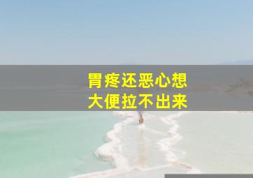 胃疼还恶心想大便拉不出来