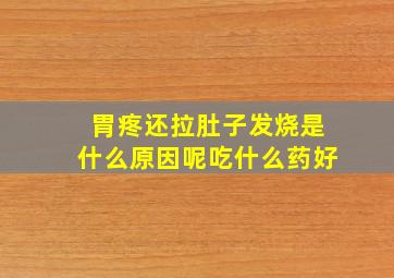 胃疼还拉肚子发烧是什么原因呢吃什么药好