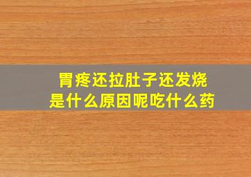 胃疼还拉肚子还发烧是什么原因呢吃什么药