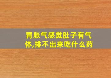 胃胀气感觉肚子有气体,排不出来吃什么药