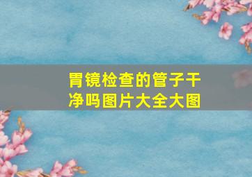 胃镜检查的管子干净吗图片大全大图