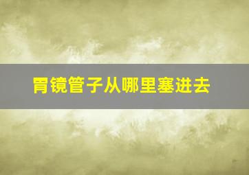 胃镜管子从哪里塞进去