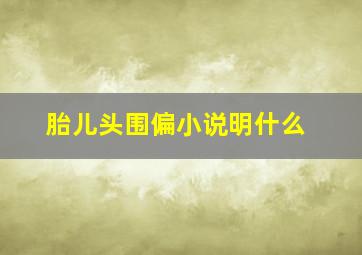 胎儿头围偏小说明什么