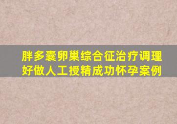 胖多囊卵巢综合征治疗调理好做人工授精成功怀孕案例