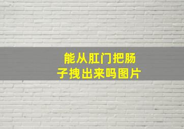 能从肛门把肠子拽出来吗图片