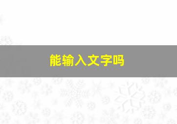 能输入文字吗