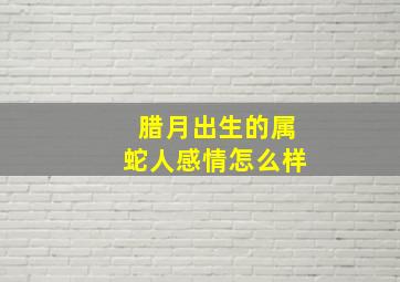 腊月出生的属蛇人感情怎么样