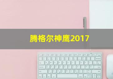 腾格尔神鹰2017