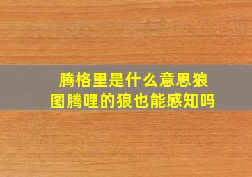 腾格里是什么意思狼图腾哩的狼也能感知吗