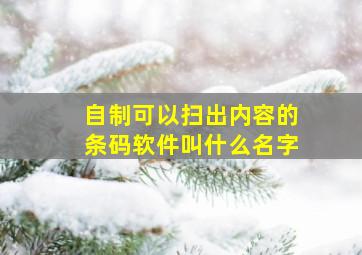 自制可以扫出内容的条码软件叫什么名字