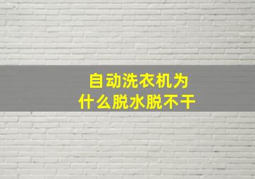 自动洗衣机为什么脱水脱不干