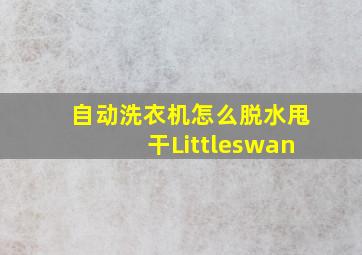 自动洗衣机怎么脱水甩干Littleswan