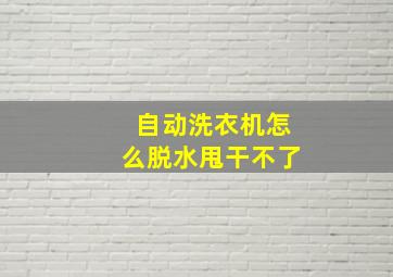 自动洗衣机怎么脱水甩干不了