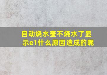 自动烧水壶不烧水了显示e1什么原因造成的呢