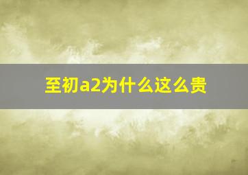 至初a2为什么这么贵