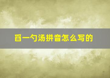 舀一勺汤拼音怎么写的