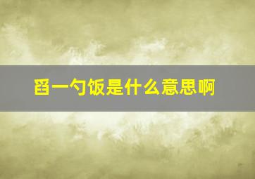 舀一勺饭是什么意思啊