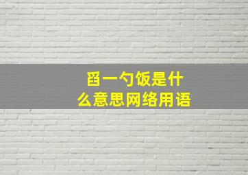 舀一勺饭是什么意思网络用语