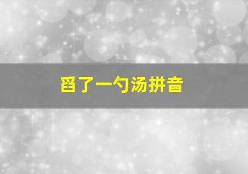 舀了一勺汤拼音