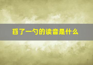 舀了一勺的读音是什么