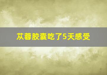 苁蓉胶囊吃了5天感受