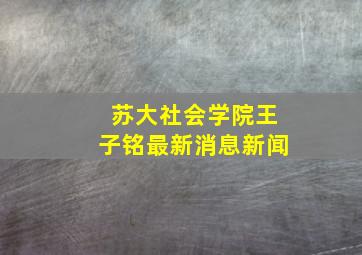 苏大社会学院王子铭最新消息新闻