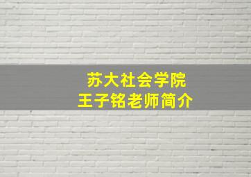 苏大社会学院王子铭老师简介