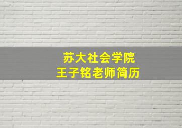 苏大社会学院王子铭老师简历