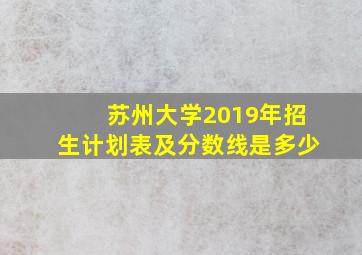 苏州大学2019年招生计划表及分数线是多少