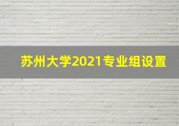 苏州大学2021专业组设置