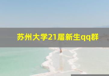 苏州大学21届新生qq群