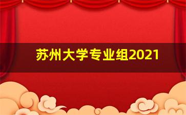 苏州大学专业组2021